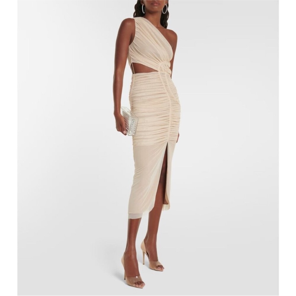 RARE SIMKHAI Seraiah Gathered Midi Dress in Thorn Midi Dress